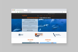 Los Barriles Spearfishing